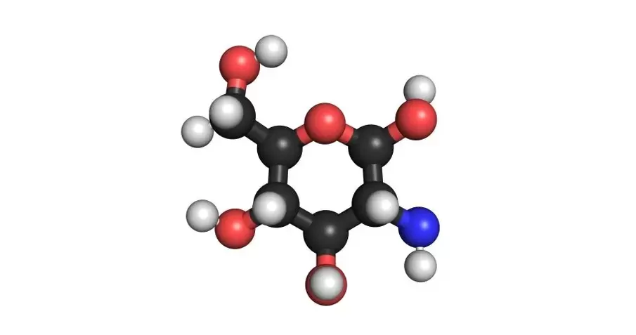 chondroitino Remofix gelyje